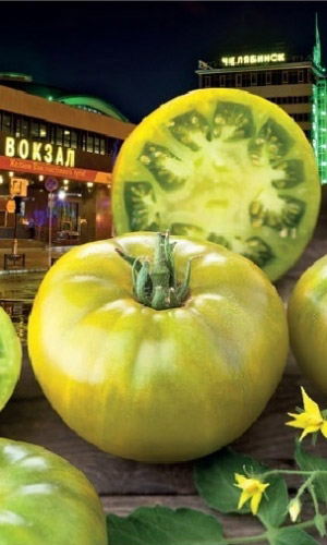 Томат СЛАДКИЙ ЧЕЛЯБИНСК F1