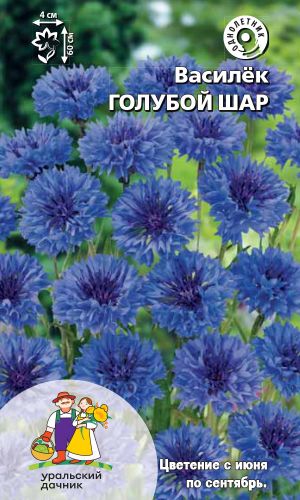 Василёк ГОЛУБОЙ ШАР
