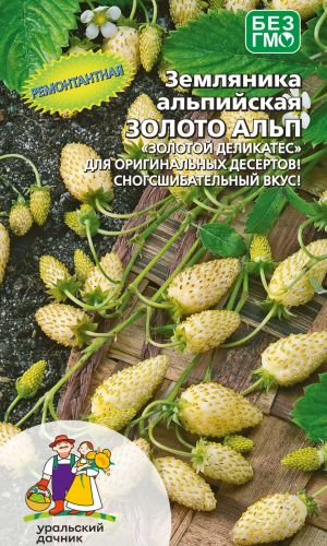 Земляника ЗОЛОТО АЛЬП