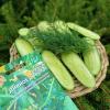 Огурец ДИВНОЕ ДИВО F1